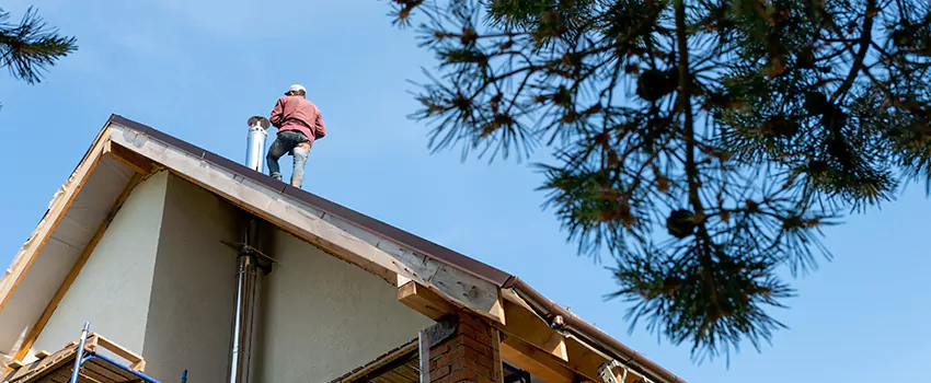 Birds Removal Contractors from Chimney in Easthampton, MA